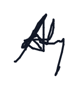 Electronic signature of MOHAMED RAHIM