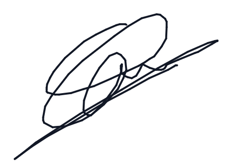 Electronic signature of Castro Charles